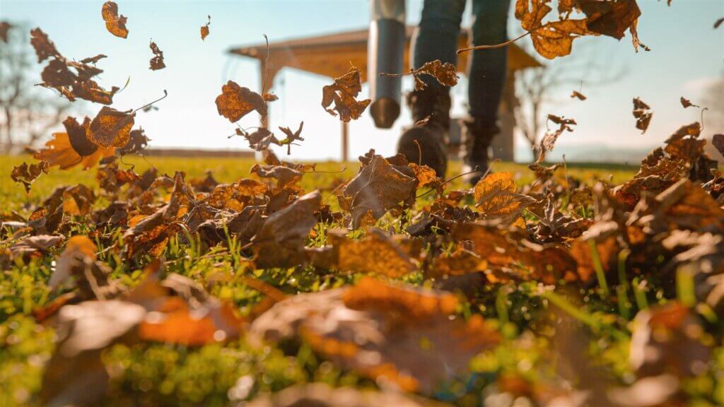 Leaves blowing across a lawn