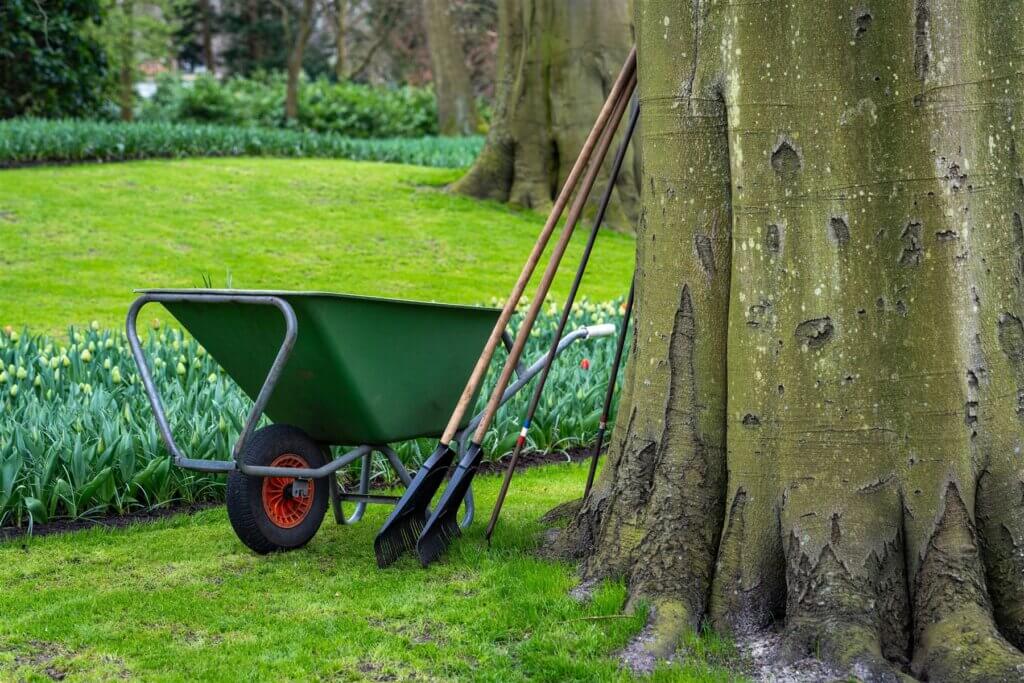 Wheelbarrow and rakes beside a spring flower bed