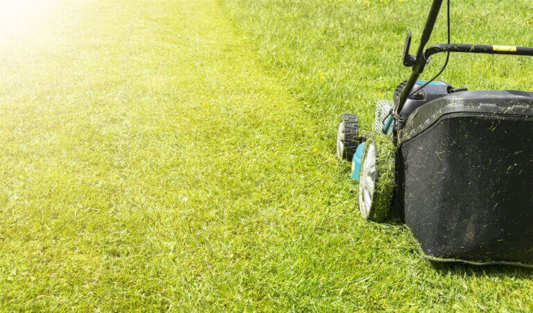 Mower on a freshly cut lawn